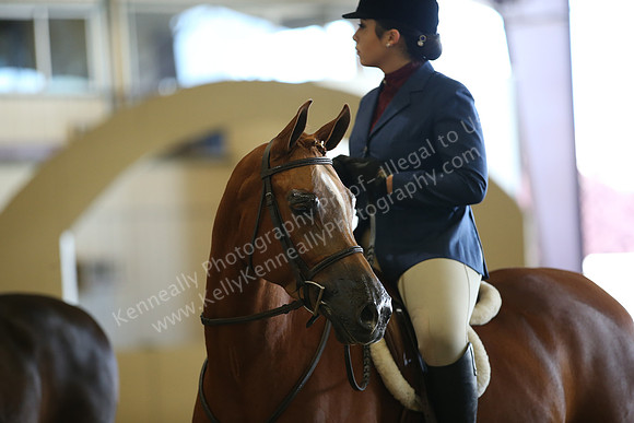 AHANC_Show18_FriAM_1165