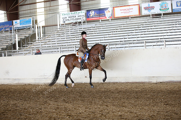 AHANC_Show18_FriAM_1167