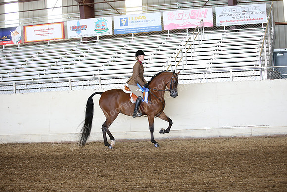 AHANC_Show18_FriAM_1168