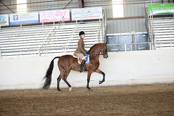 AHANC_Show18_FriAM_1169