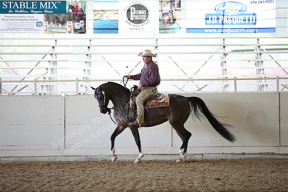 AHANC_Show18_FriAM_1171