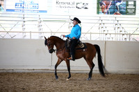 AHANC_Show18_FriAM_1175