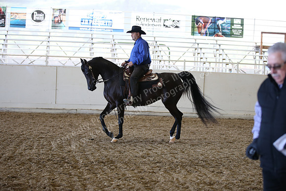AHANC_Show18_FriAM_1182