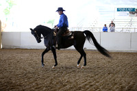 AHANC_Show18_FriAM_1183