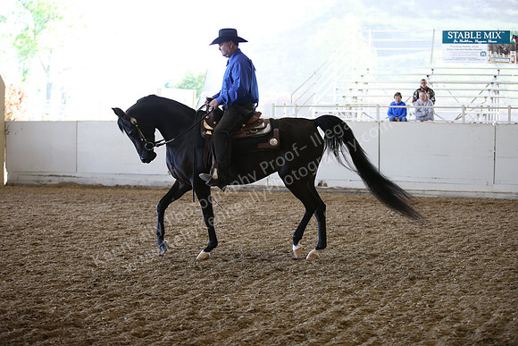 AHANC_Show18_FriAM_1183