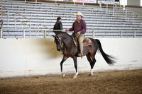 AHANC_Show18_FriAM_1184