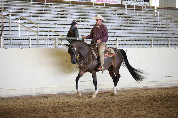 AHANC_Show18_FriAM_1184
