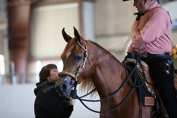 AHANC_Show18_FriAM_1189
