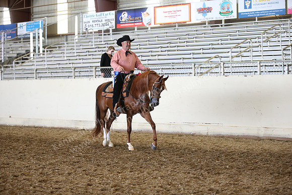 AHANC_Show18_FriAM_1198