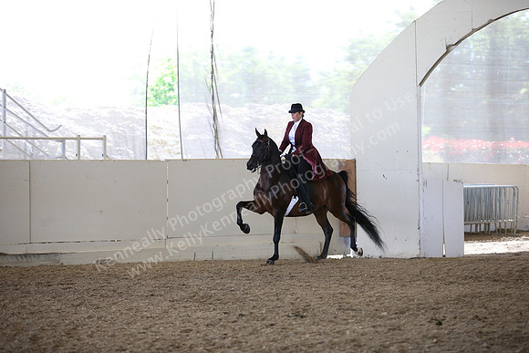 AHANC_Show18_FriAM_1211