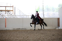 AHANC_Show18_FriAM_1212