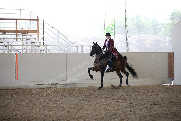 AHANC_Show18_FriAM_1212
