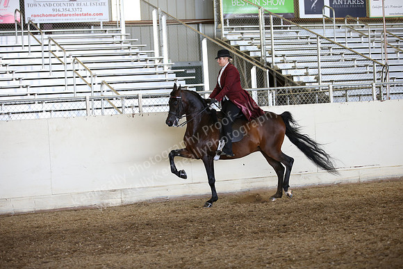 AHANC_Show18_FriAM_1220