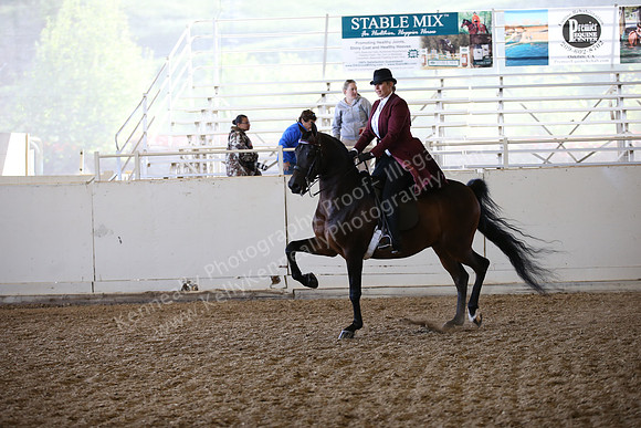 AHANC_Show18_FriAM_1216