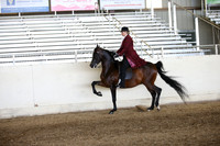 AHANC_Show18_FriAM_1221