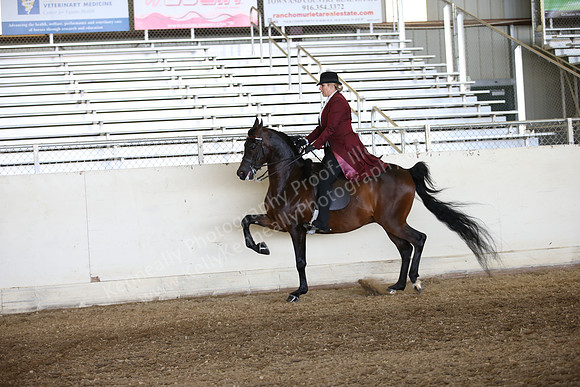 AHANC_Show18_FriAM_1221