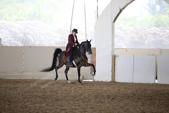 AHANC_Show18_FriAM_1226