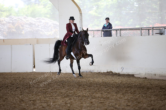 AHANC_Show18_FriAM_1227