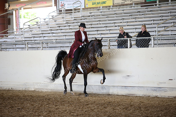 AHANC_Show18_FriAM_1230