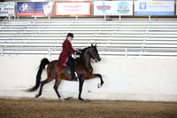 AHANC_Show18_FriAM_1234