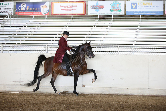 AHANC_Show18_FriAM_1234