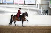 AHANC_Show18_FriAM_1235
