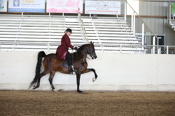 AHANC_Show18_FriAM_1235