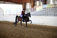 AHANC_Show18_FriAM_1238