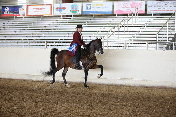 AHANC_Show18_FriAM_1243