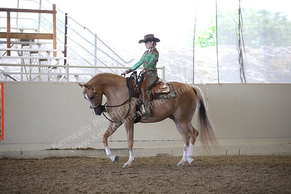 AHANC_Show18_FriAM_1255