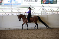 AHANC_Show18_FriAM_1253