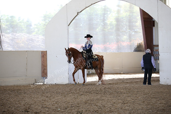 AHANC_Show18_FriAM_1257