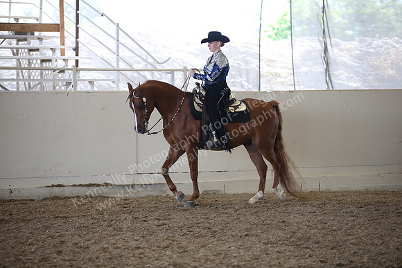 AHANC_Show18_FriAM_1258