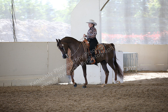 AHANC_Show18_FriAM_1265