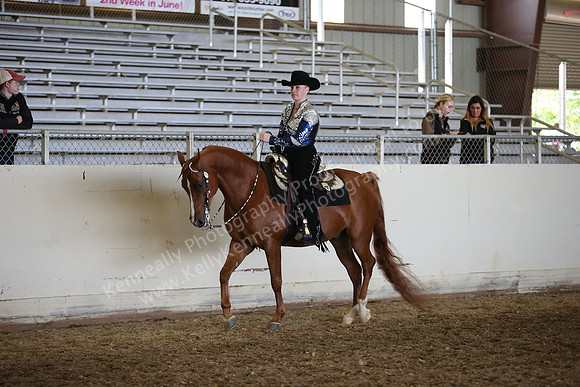 AHANC_Show18_FriAM_1274