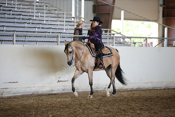 AHANC_Show18_FriAM_1275