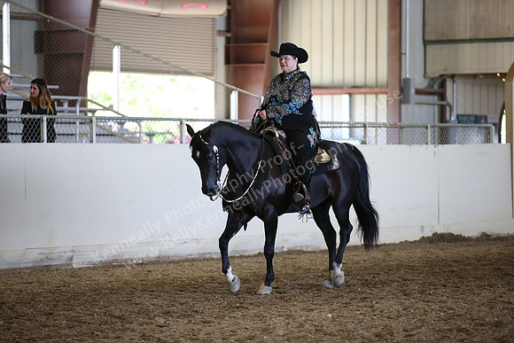 AHANC_Show18_FriAM_1278