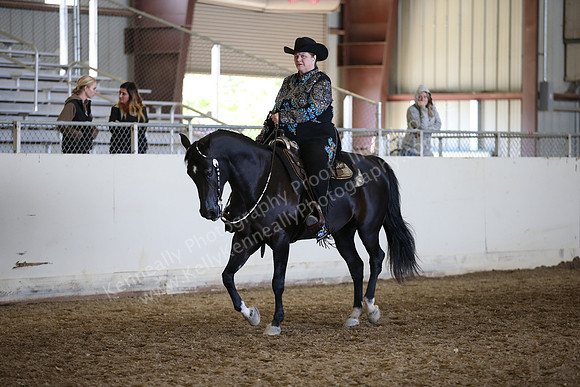 AHANC_Show18_FriAM_1279