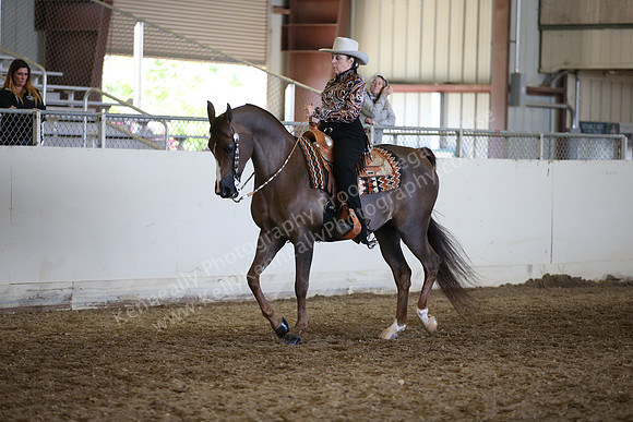 AHANC_Show18_FriAM_1281
