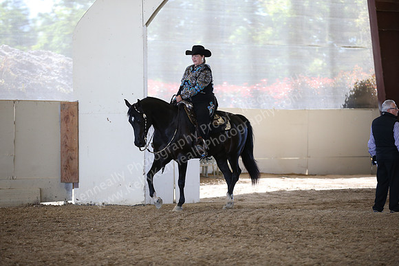 AHANC_Show18_FriAM_1263