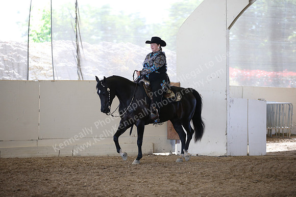 AHANC_Show18_FriAM_1264