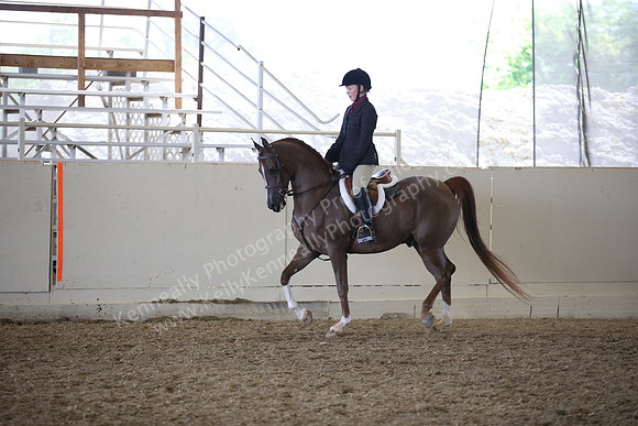 AHANC_Show18_FriAM_1305