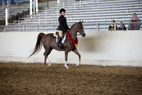 AHANC_Show18_FriAM_1310