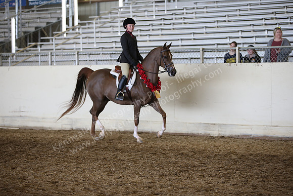 AHANC_Show18_FriAM_1310
