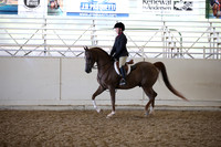 AHANC_Show18_FriAM_1307