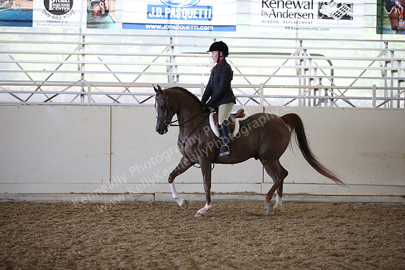AHANC_Show18_FriAM_1307