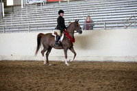 AHANC_Show18_FriAM_1311