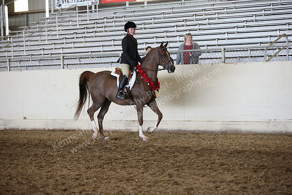 AHANC_Show18_FriAM_1311