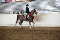 AHANC_Show18_FriAM_1312