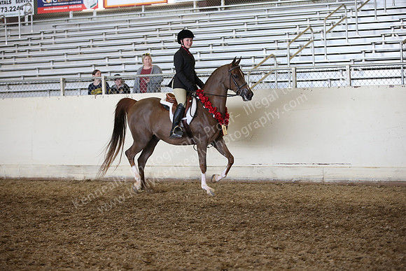 AHANC_Show18_FriAM_1312